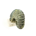 Labradorit Doğal Taş Ammonite Ham Obje - Görsel 4