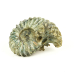 Labradorit Doğal Taş Ammonite Ham Obje - Görsel 5