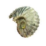 Labradorit Doğal Taş Ammonite Ham Obje - Görsel 6