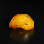 Morceau brut poli en ambre naturel de la Baltique avec inclusion fossile 25,81g.